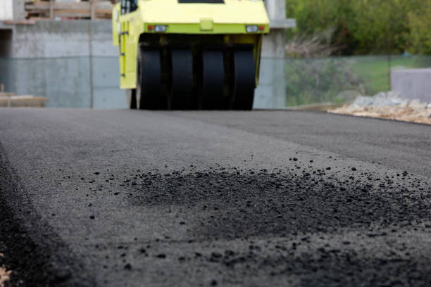 Best Driveway Paving Contractor  in Caoncito, NM