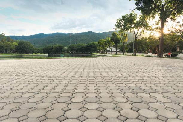 Best Residential Driveway Paver Services  in Caoncito, NM
